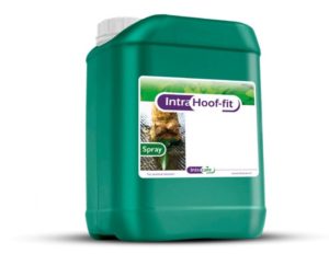 intra hoof fit